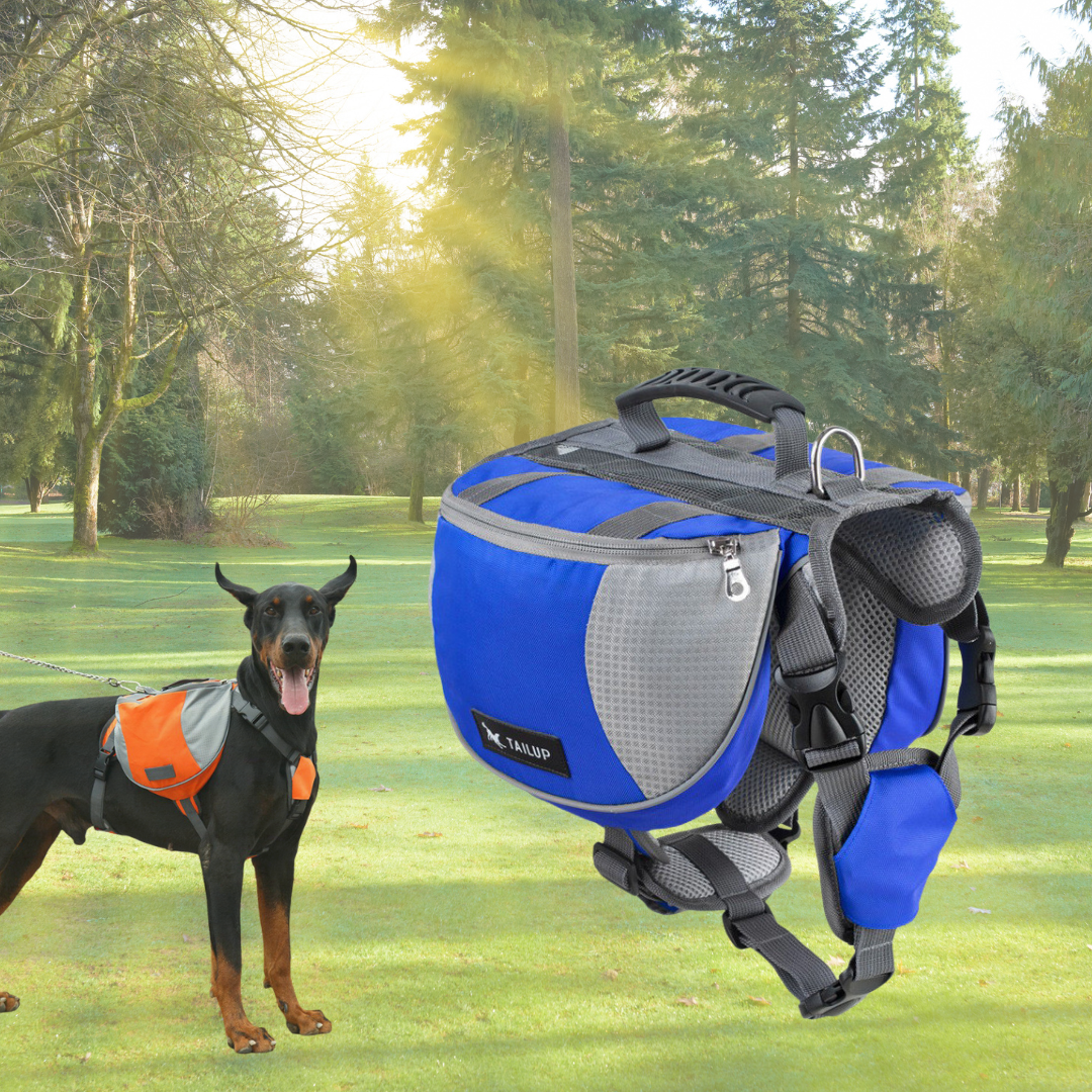Hunde-Rucksack