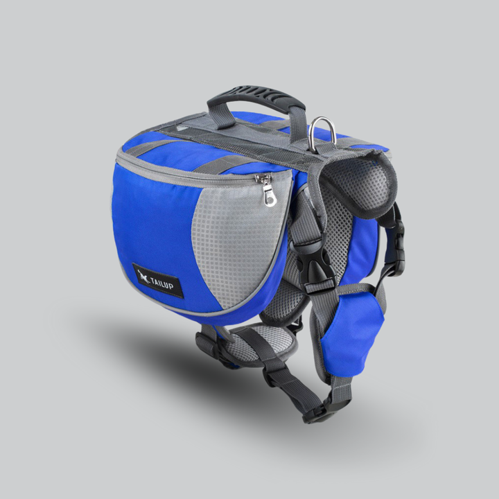 Hunde-Rucksack